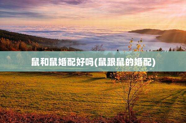鼠和鼠婚配好吗(鼠跟鼠的婚配)