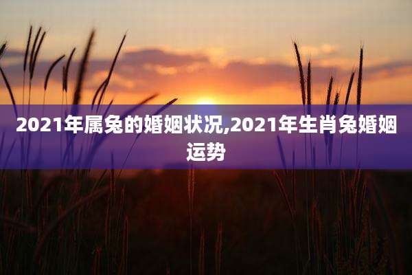 2021年属兔的婚姻状况,2021年生肖兔婚姻运势