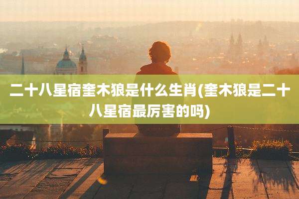 二十八星宿奎木狼是什么生肖(奎木狼是二十八星宿最厉害的吗)