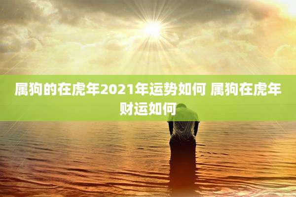 属狗的在虎年2021年运势如何 属狗在虎年财运如何