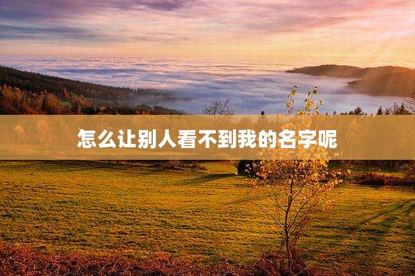 怎么让别人看不到我的名字呢