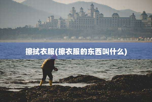 擦拭衣服(擦衣服的东西叫什么)