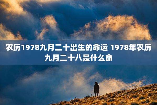 农历1978九月二十出生的命运 1978年农历九月二十八是什么命