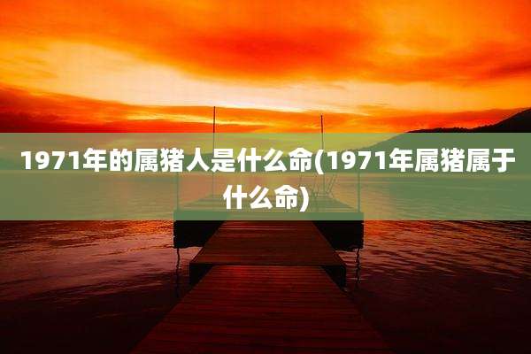 1971年的属猪人是什么命(1971年属猪属于什么命)
