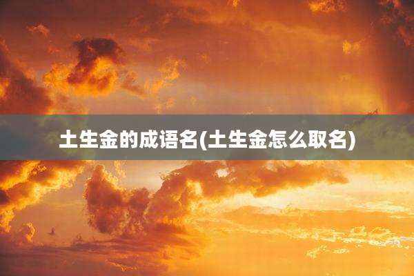 土生金的成语名(土生金怎么取名)