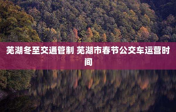 芜湖冬至交通管制 芜湖市春节公交车运营时间