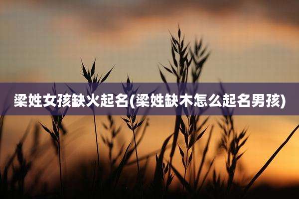 梁姓女孩缺火起名(梁姓缺木怎么起名男孩)