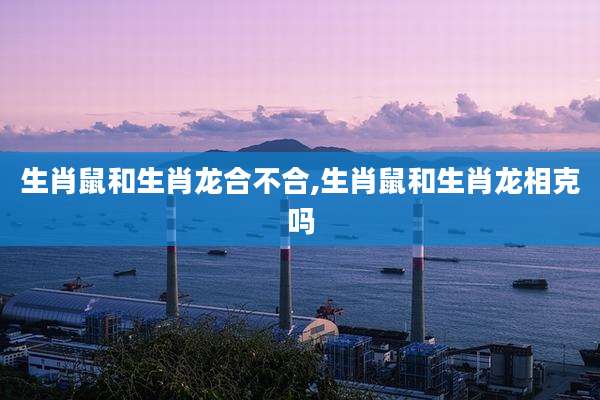生肖鼠和生肖龙合不合,生肖鼠和生肖龙相克吗