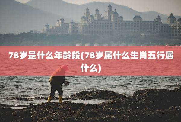 78岁是什么年龄段(78岁属什么生肖五行属什么)