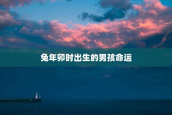 兔年卯时出生的男孩命运