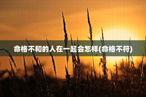 命格不和的人在一起会怎样(命格不符)