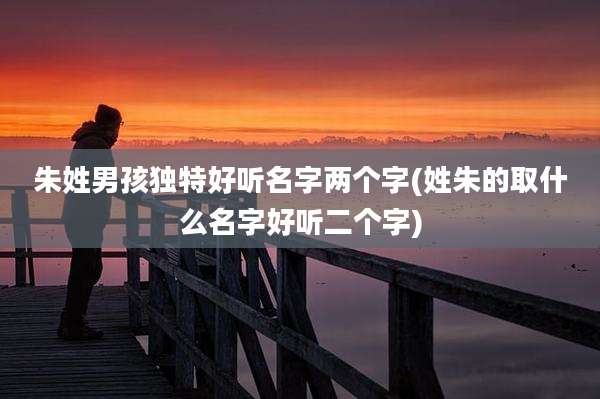 朱姓男孩独特好听名字两个字(姓朱的取什么名字好听二个字)