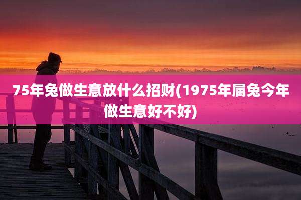 75年兔做生意放什么招财(1975年属兔今年做生意好不好)