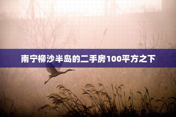 南宁柳沙半岛的二手房100平方之下