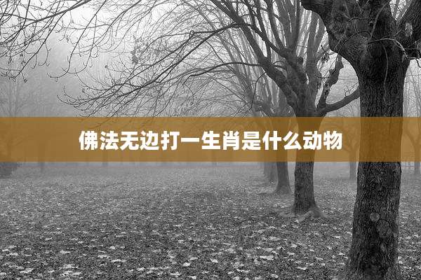 佛法无边打一生肖是什么动物