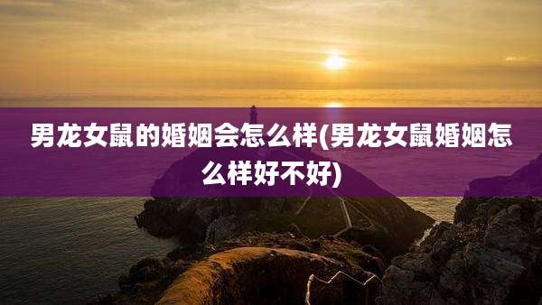 男龙女鼠的婚姻会怎么样(男龙女鼠婚姻怎么样好不好)