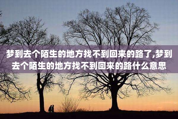 梦到去个陌生的地方找不到回来的路了,梦到去个陌生的地方找不到回来的路什么意思