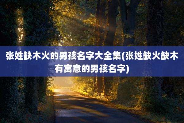 张姓缺木火的男孩名字大全集(张姓缺火缺木有寓意的男孩名字)