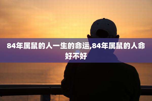 84年属鼠的人一生的命运,84年属鼠的人命好不好