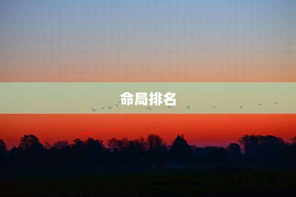 命局排名