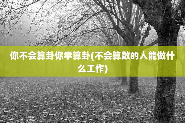 你不会算卦你学算卦(不会算数的人能做什么工作)