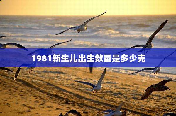 1981新生儿出生数量是多少克