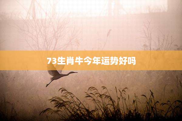 73生肖牛今年运势好吗