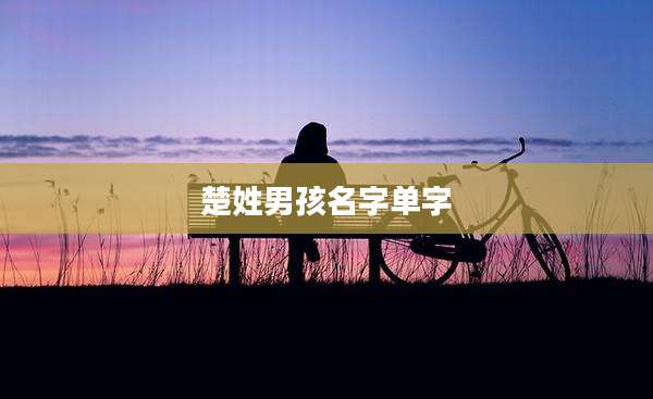 楚姓男孩名字单字