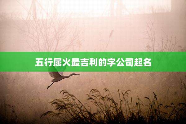 五行属火最吉利的字公司起名
