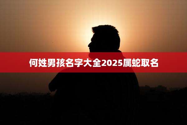 何姓男孩名字大全2025属蛇取名
