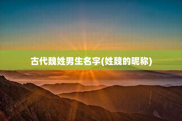 古代魏姓男生名字(姓魏的昵称)