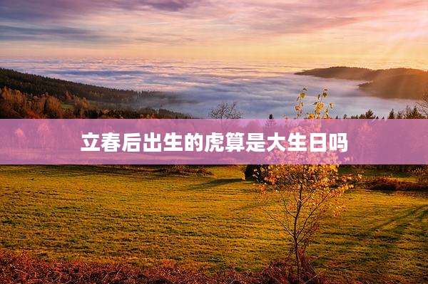 立春后出生的虎算是大生日吗