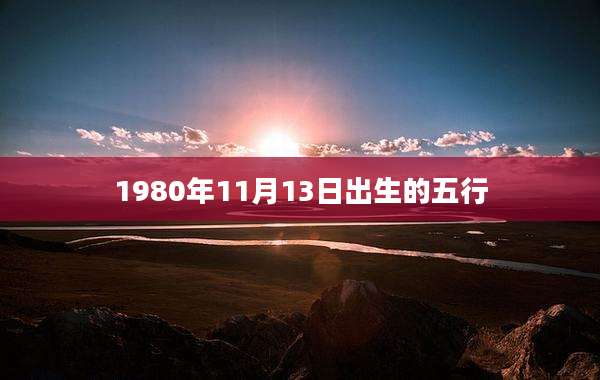 1980年11月13日出生的五行