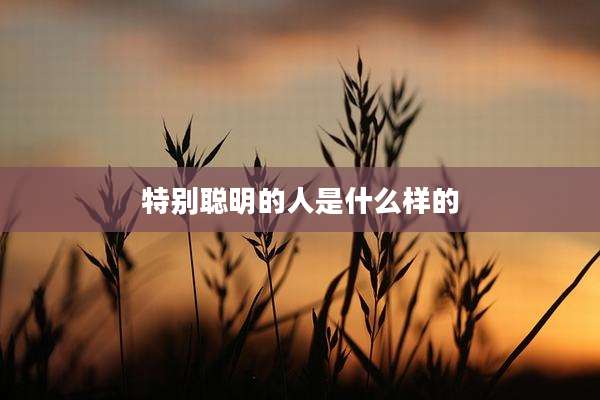 特别聪明的人是什么样的