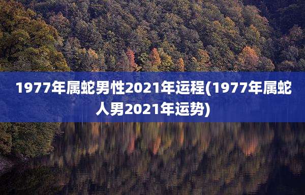 1977年属蛇男性2021年运程(1977年属蛇人男2021年运势)