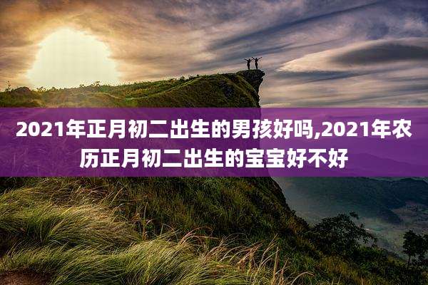 2021年正月初二出生的男孩好吗,2021年农历正月初二出生的宝宝好不好