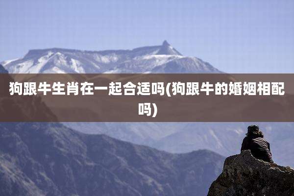 狗跟牛生肖在一起合适吗(狗跟牛的婚姻相配吗)