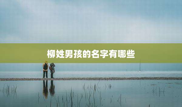 柳姓男孩的名字有哪些