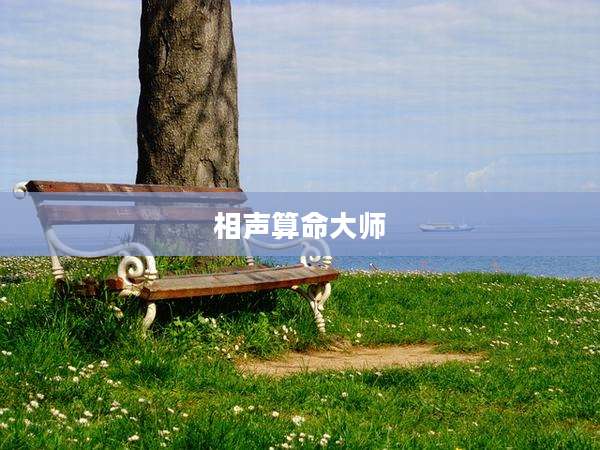 相声算命大师