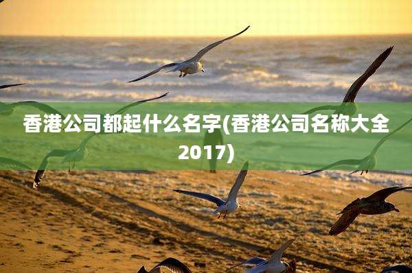 香港公司都起什么名字(香港公司名称大全2017)