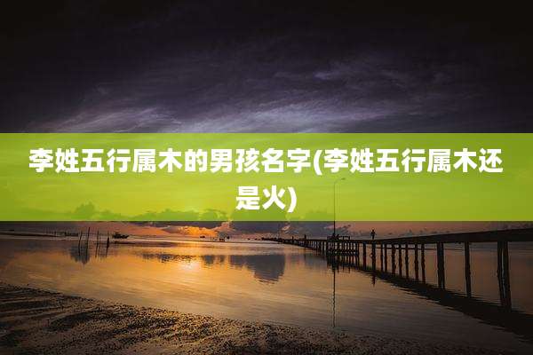 李姓五行属木的男孩名字(李姓五行属木还是火)