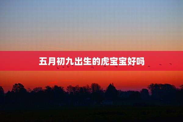 五月初九出生的虎宝宝好吗