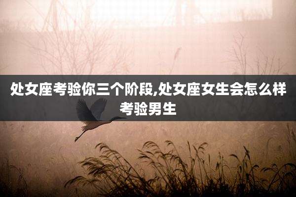 处女座考验你三个阶段,处女座女生会怎么样考验男生