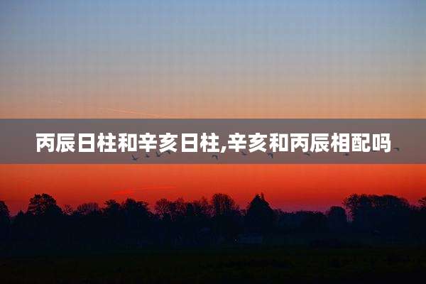 丙辰日柱和辛亥日柱,辛亥和丙辰相配吗