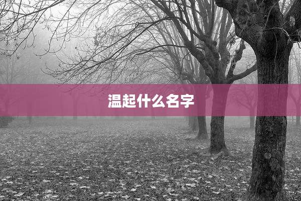 温起什么名字