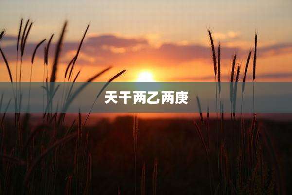 天干两乙两庚