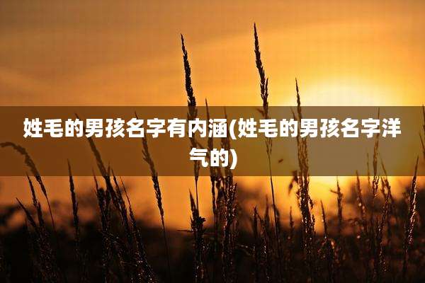 姓毛的男孩名字有内涵(姓毛的男孩名字洋气的)