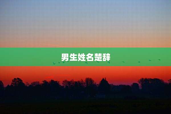 男生姓名楚辞