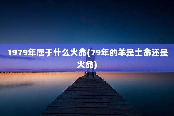 1979年属于什么火命(79年的羊是土命还是火命)
