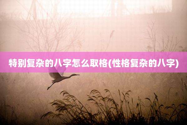 特别复杂的八字怎么取格(性格复杂的八字)